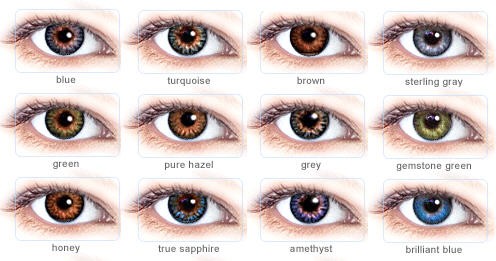 Contacts